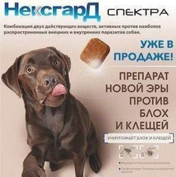 Нексгард Cпектра для собак 3.5 - 7,5 кг Nexgard Spectra таблетки проти бліх, кліщів і глистів, 3 таблетки