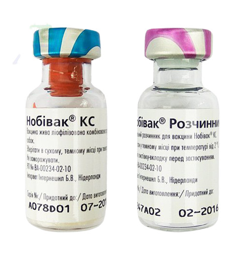Нобівак КС Nobivac вакцина проти бордетеллезу і парагрипу собак, 1 доза