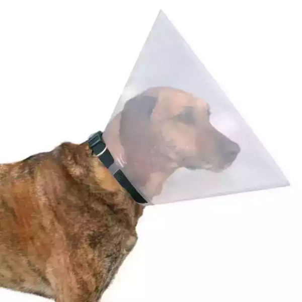 Ветеринарний комір Collar Dog Exterme пластиковий для собак і котів, розмір S/М обхват шиї 31 - 38 см, висота 15 см (1562)