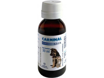 Кармінал Catalysis Carminal вітамінний сироп у разі розладів травлення у котів і собак, 30 мл (2306202305)