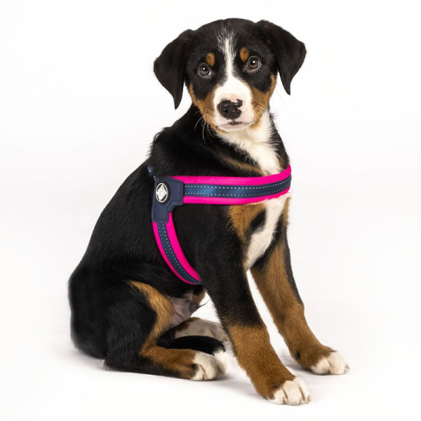 Шлейка Рожевий Матрикс Max &amp; Molly Q-Fit Harness Matrix Pink/XS для собак, обхват грудей 36 - 38 см (000007251)