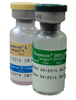 Каніген DHA2PPi/LR Virbac Canigen DHA2PPi/LR комплексна вакцина для собак щенят старше 12 тижнів, 1 доза