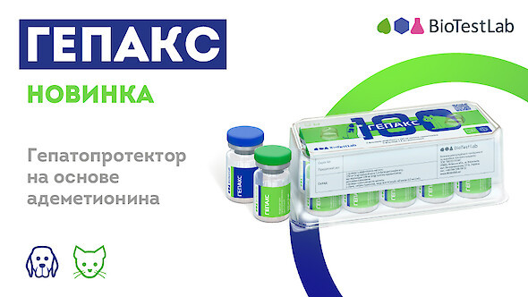 Гепакс 100, ін'єкційний при захворюваннях печінки та нирок у собак і котів, 2 мл + розчинник 2 мл