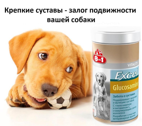 Вітаміни 8в1 Excel Glucosamine глюкозамін з вітаміном С для зміцнення суглобів собак, 55 таблеток