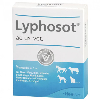 Ліфозот Heel Lyphosot ін'єкційний гомеопатичний препарат, 5 ампул по 5 мл