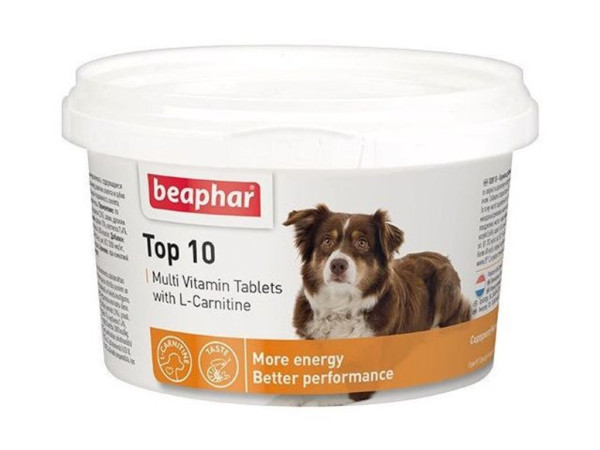 Топ 10 Бефар Top 10 Beaphar Dog вітамінно-мінеральний комплекс для собак від 7 тижнів, 750 таблеток Топ 10 Бефар Top 10 Beaphar Dog вітамінно-мінеральний комплекс для собак від 7 тижнів, 750 таблеток