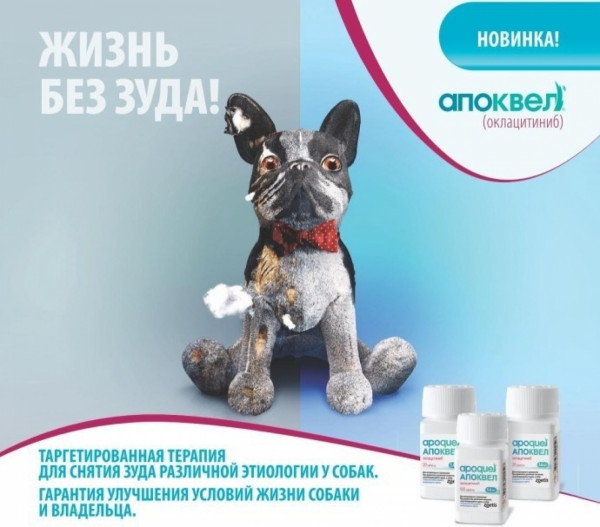 Апоквель 16 мг Apoquel при дерматитах різної етіології, що супроводжуються сверблячкою, у собак, 10 таблеток фасування
