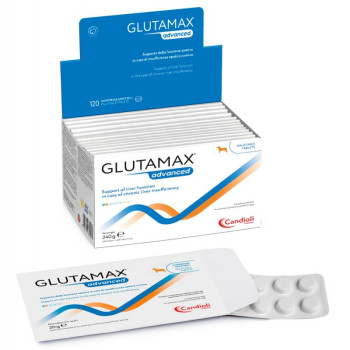 Глутамакс Едванс Candioli Glutamax Advanced для поліпшення роботи печінки у собак, 10 таблеток, блістер (PAE6245)