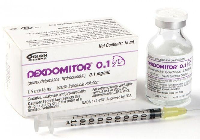 Дексдомітор 0.1 мг / мл Dexdomitor ін'єкційний для седативного ефекту і аналгезії у собак і кішок, 15 мл