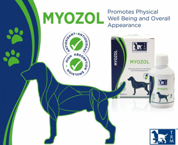 Міозол TRM Myozol Dog вітамінна добавка з гамма-оризанолом для збільшення м'язової маси у собак, 200 мл (MYOZ01)