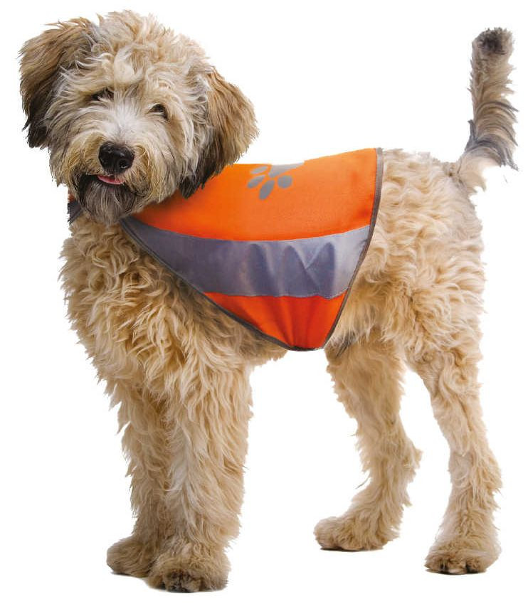 Світловідбивний жилет Croci Visibility для собак, розмір М, обхват шиї 42 - 50 см, об'єм грудей 50 - 68 см (C6020108)