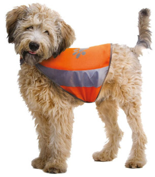 Світловідбивний жилет Croci Visibility для собак, розмір S обхват шиї 28 - 42 см, об'єм грудей 39 - 50 см (C6020099)