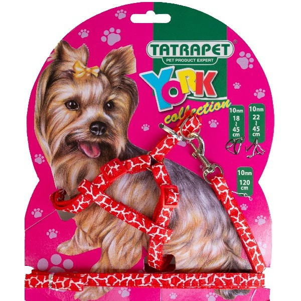 Набір шлея +повідець,нейлон York ,1х22-45/120см (червоний,леопардовий принт)
