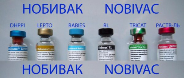 Нобівак РЛ Nobivak RL вакцина проти сказу та лептоспірозу собак, 1 доза